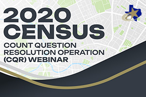 2020 Census Webinar Slide