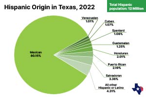 Colored pie chart showing Hispanic origin in Texas in 2022.