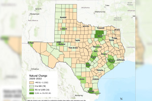 Color-coded map of Texas displaying housing in texas