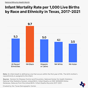 Bar graph showing infant mortality disparities by race/ethnicity.