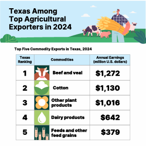 A table ranks Texas’ top five agricultural commodity exports by annual earnings (million U.S. dollars): 1) Beef and veal ($1,272 million), 2) Cotton ($1,130 million), 3) Other plant products ($1,016 million), 4) Dairy products ($642 million), and 5) 