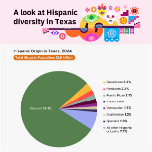 Pie chart showing percentages of all the different Hispanic origins in Texas.