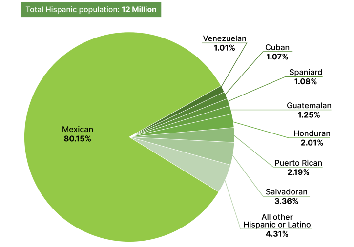 Pie chart showing the Hispanic origins in Texas in 2022.